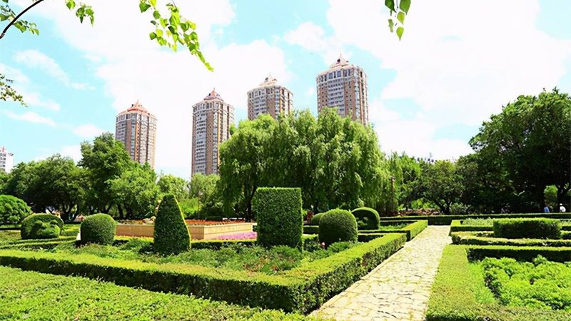 草坪沙土配比与泥炭土比例的奥秘