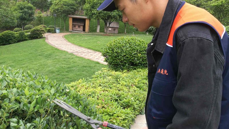 上海园林绿化工程收费标准揭秘：影响因素与合理评估**