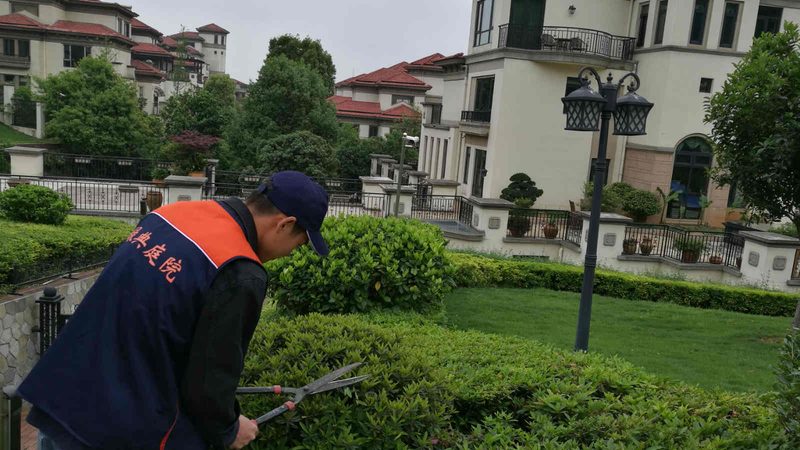 租摆绿植还是自购？园林绿化的成本与效益分析