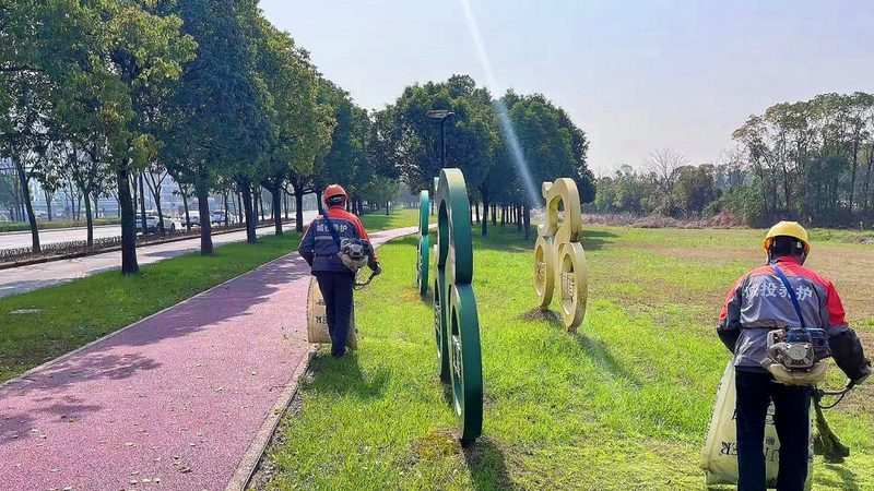 市政绿化修剪，如何选择专业公司？**