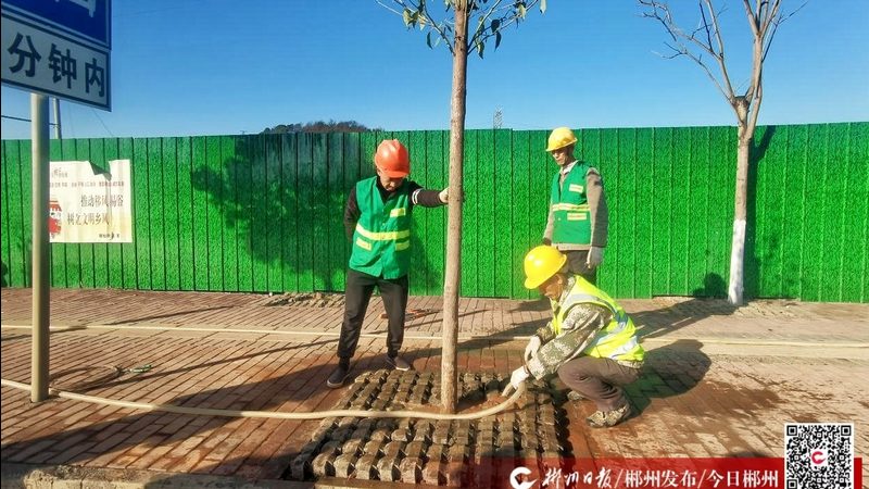 水泥假山喷泉，如何精准报价？**