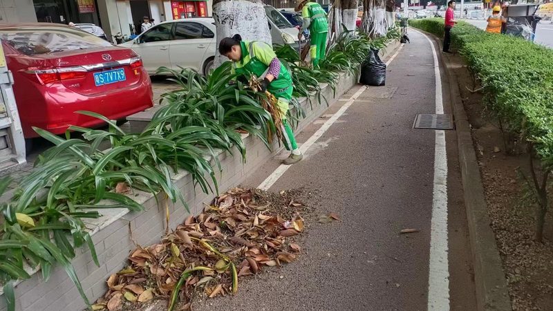 城市快速路绿化设计规范：标准解读与实施要点