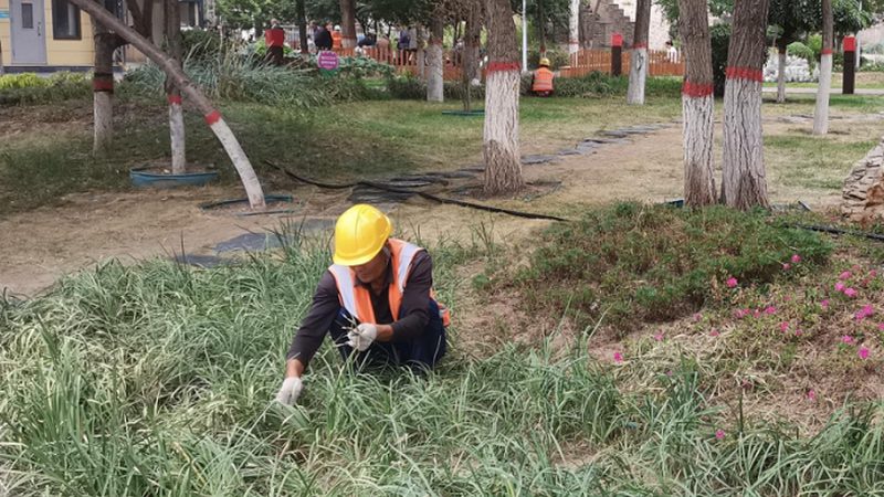 室内垂直绿化植物材质对比：材质特性与适用场景解析