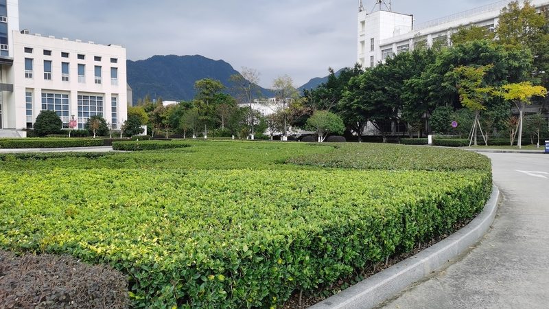 假山喷泉管道堵塞，如何疏通？专业步骤解析**