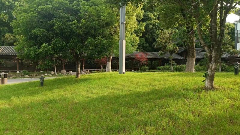 绿化苗木病虫害防治：从“见虫打药”到“系统防控”的转变